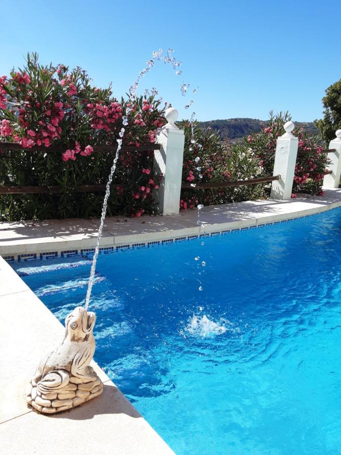 Apartamento Bella Vista Coin Bagian luar foto